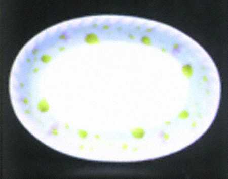 Meredith 16" Oval Serving Platter