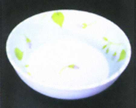Meredith 10" Round Vegetable Bowl