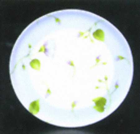 Meredith Round Tray