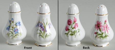 English Flowers (No Flower Name On Back) Salt & Pepper Set
