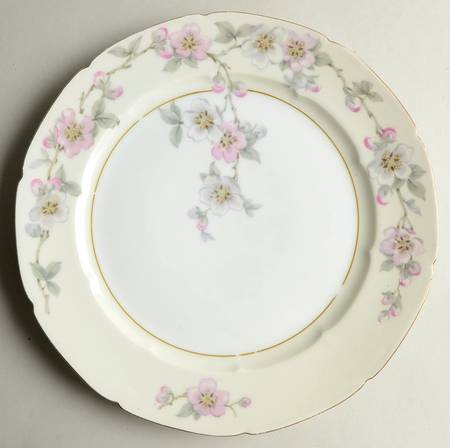 Pun91 Dinner Plate