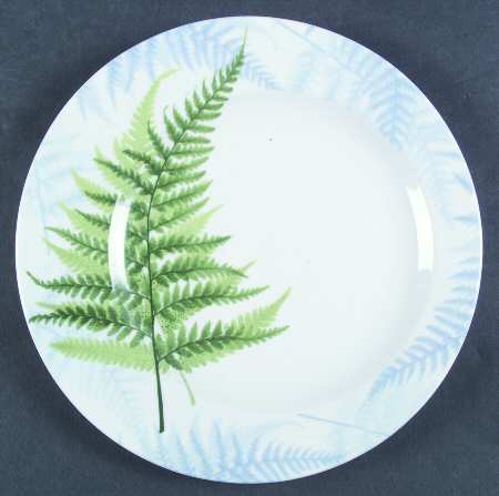 Ferns by Patra