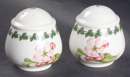 Apple Harvest Salt & Pepper Set