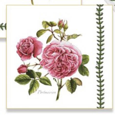 Botanic Roses Package of Paper Beverage Napkins