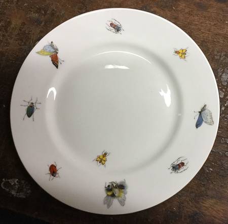 Bug Design Salad Plate
