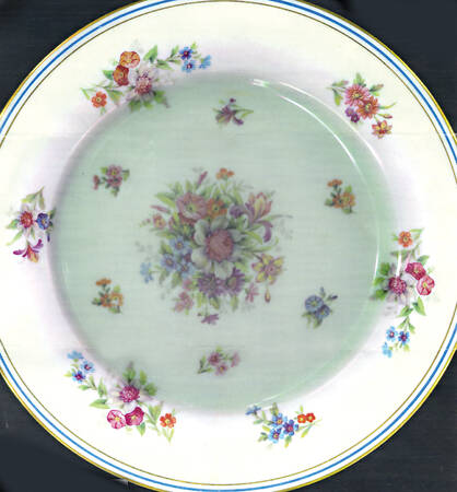 PLL4 Dinner Plate