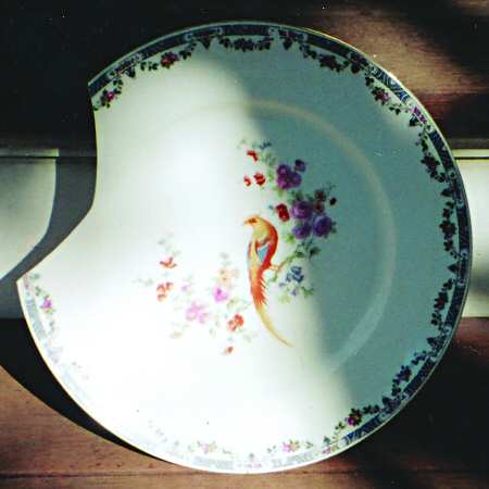 PUN100 Dinner Plate