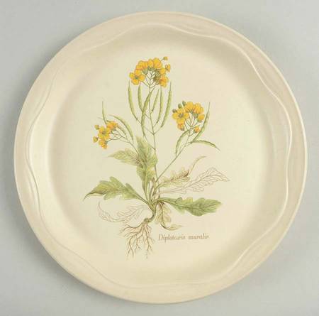 Country Lane by Poole Pottery