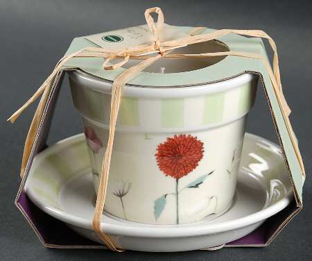Up the Garden Path Herb Pot with Tray