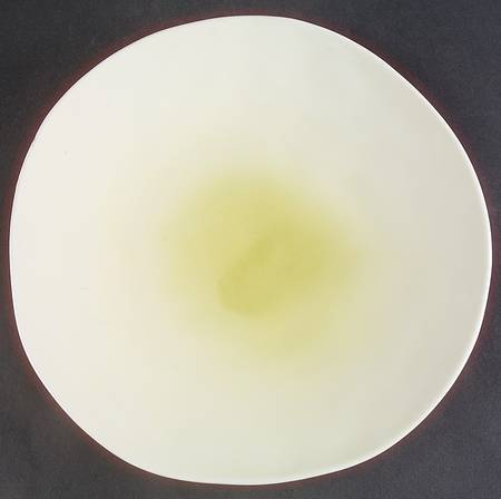 Cerchi Green Dinner Plate