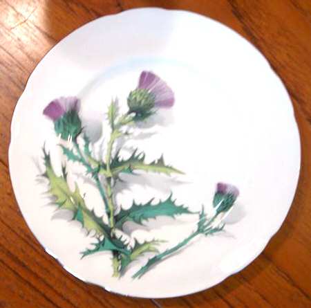 PAR141 Dinner Plate