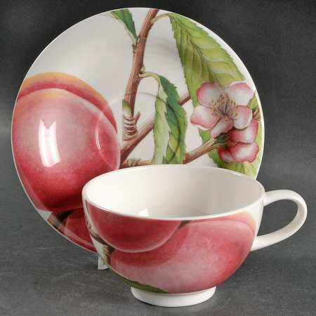 Eden Fruits Breakfast Cup & Saucer Set