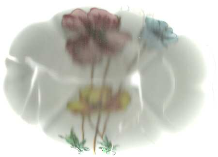 Anemone by Porcelaine De Paris