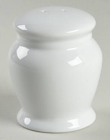 Caterer's Dinnerware Salt Shaker