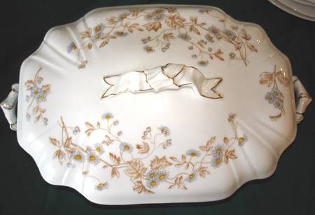 PHL40 Oval Covered Vegetable