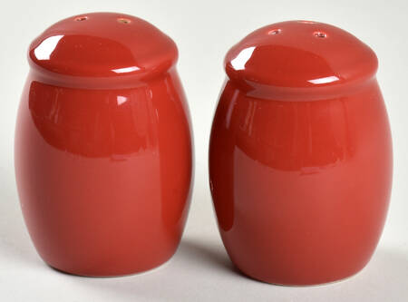 Village Collection Persimmon Salt & Pepper Set