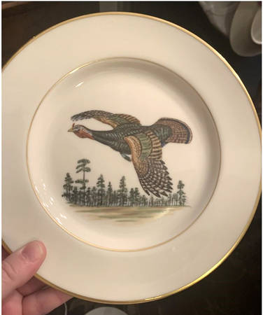 PIC135 Dinner Plate