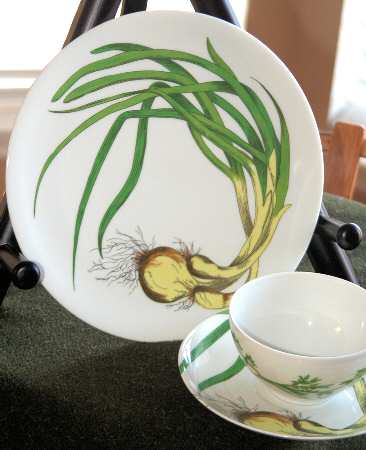 PDP20 Dinner Plate