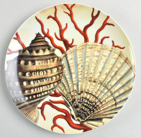 Coastal Curiosity Salad/Dessert Plate