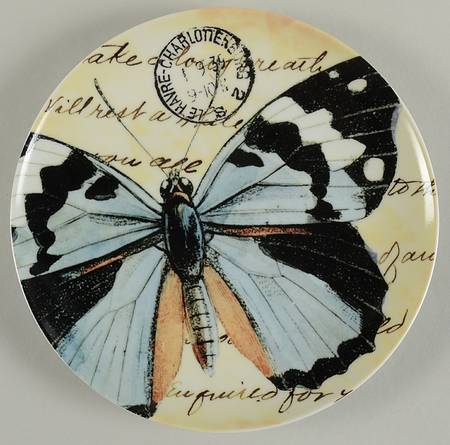 Coastal Curiosity by Pottery Barn China
