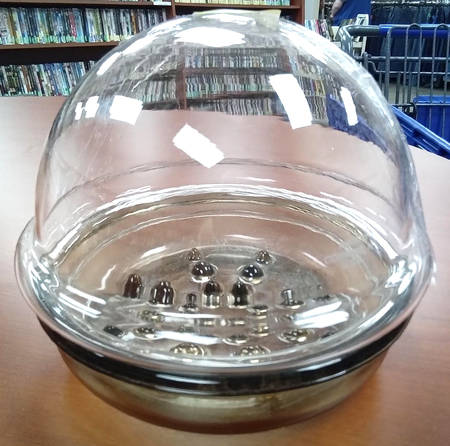 Terrariums 3  Piece Large Plant Helper, Pot, Dome and Saucer
