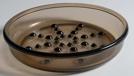 Terrariums Large 3 Piece Plant Helper, Saucer Only