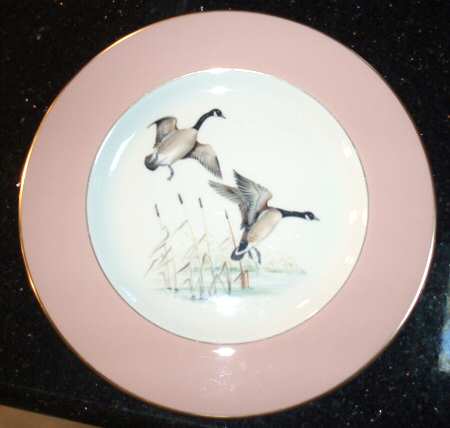 PIC148 Dinner Plate