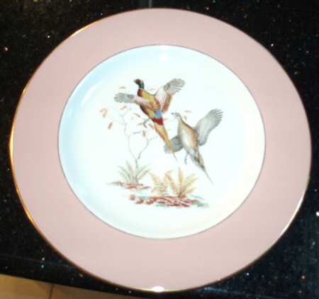 PIC148 Dinner Plate