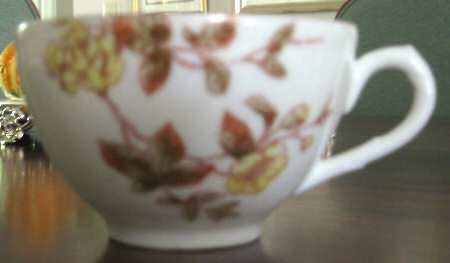 POY730 Flat Cup