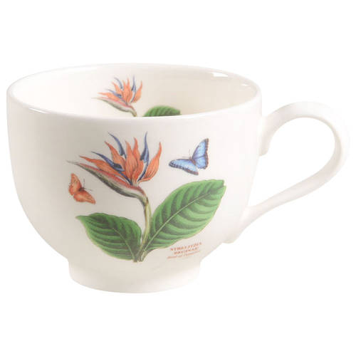 Exotic Botanic Garden Flat Cup