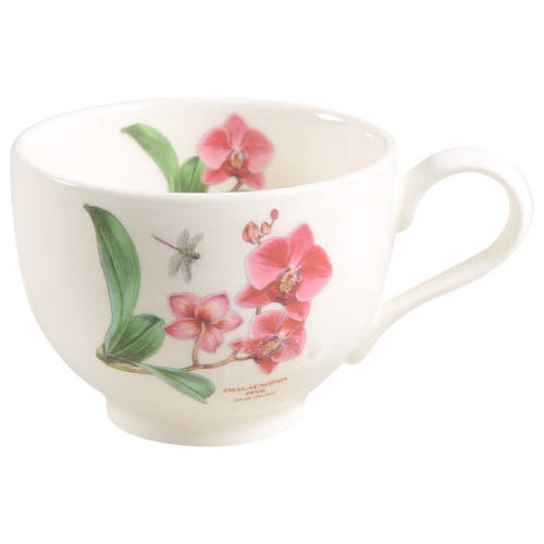 Exotic Botanic Garden Flat Cup