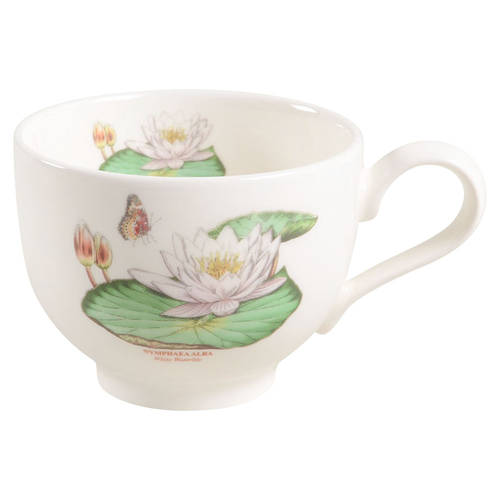 Exotic Botanic Garden Flat Cup