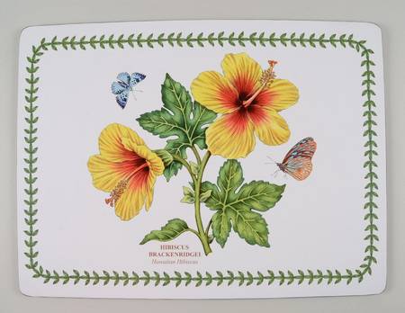 Exotic Botanic Garden Corkboard Placemat