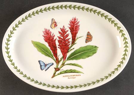 Exotic Botanic Garden 10" Oval Serving Platter