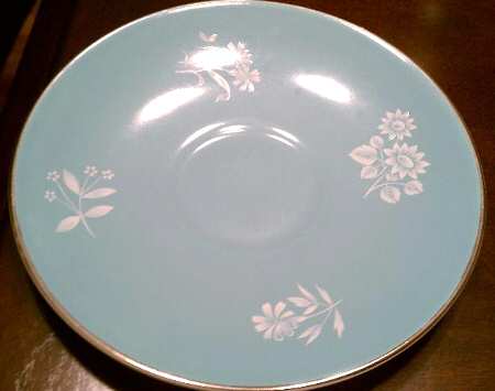 POU17 Saucer