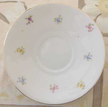 PIR228 Saucer