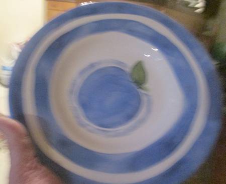 Sausalito Fruit 10" Soup/Pasta Bowl