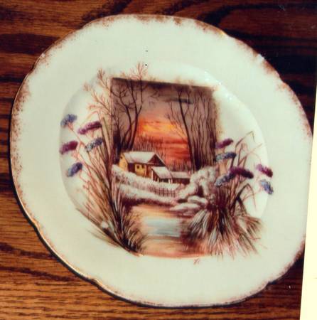 POY879 Salad Plate