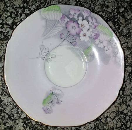 Primula by Paragon
