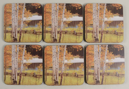 Coasters Square Corkback Coaster - Set of 6