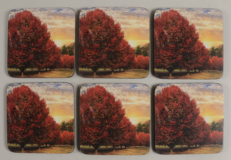 Coasters Square Corkback Coaster - Set of 6