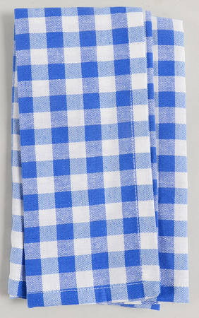 Charming Check Cloth Napkin