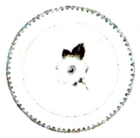 Rose Salad Plate