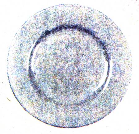 Tid 12" Gourmet Plate