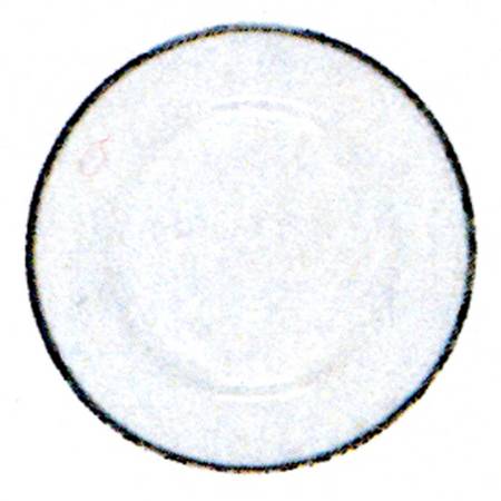 Nathalie Platinum Salad Plate