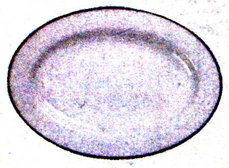 Nathalie Platinum 15" Oval Serving Platter