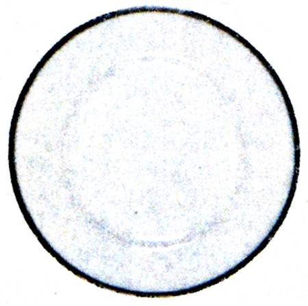 Nathalie Platinum 12" Gourmet Plate