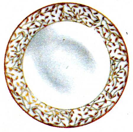 Cecilie Gold Deep Dinner Plate