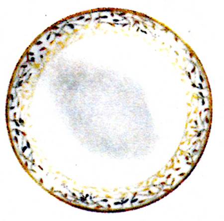 Cecilie Gold Dessert/Pie Plate