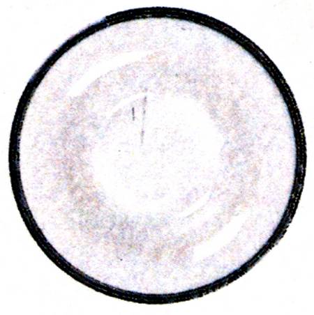 Sina Deep Dinner Plate